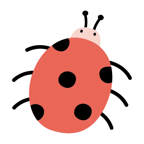 Marienkäfer Illustration